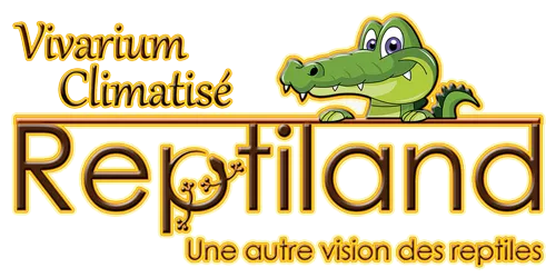 REPTILAND-MARTEL-46