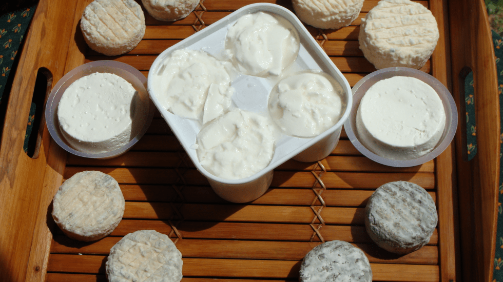 Rocamadour (fromage)